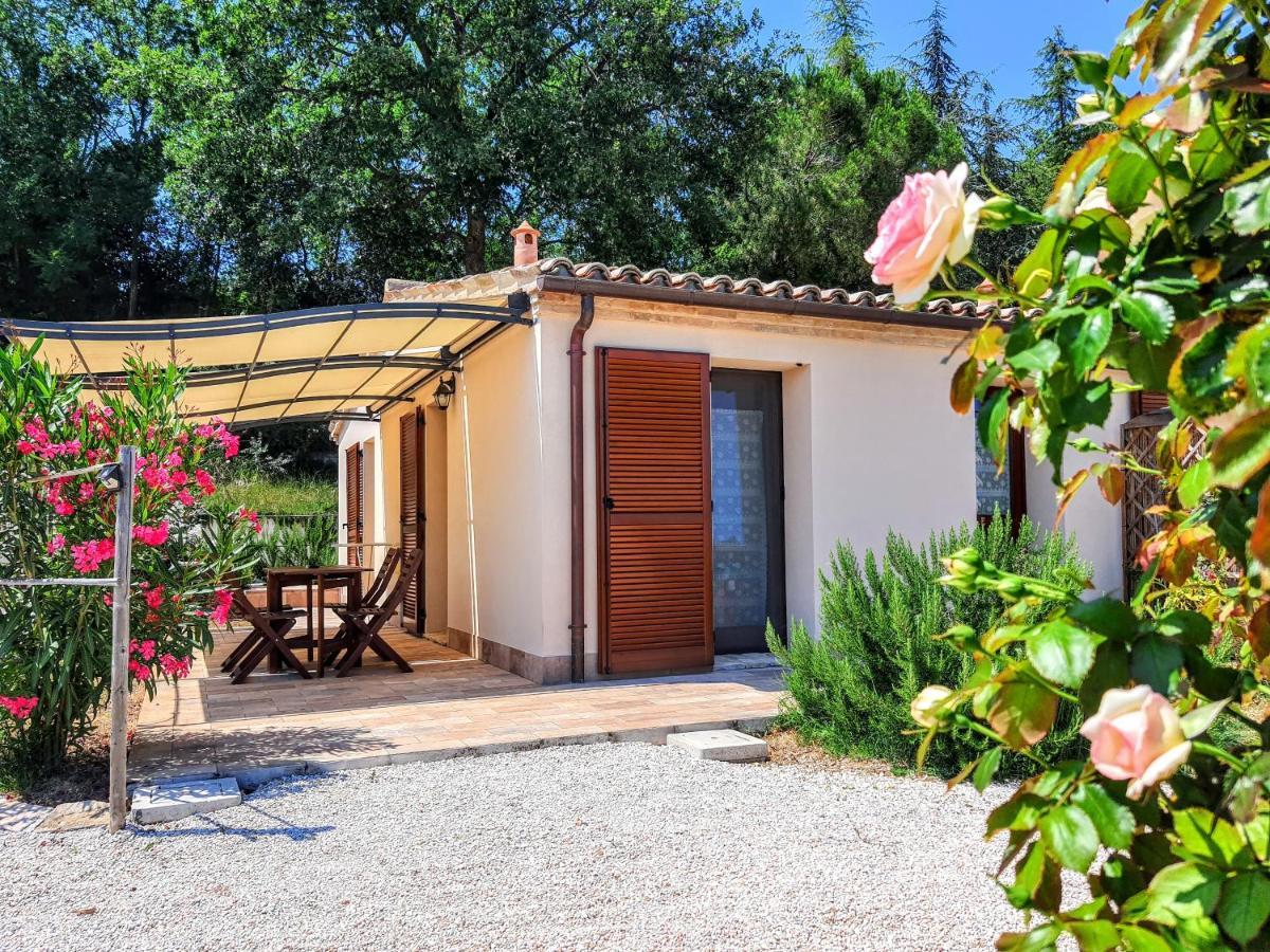 Agriturismo Rosa Antica 蒙特圣维托 外观 照片