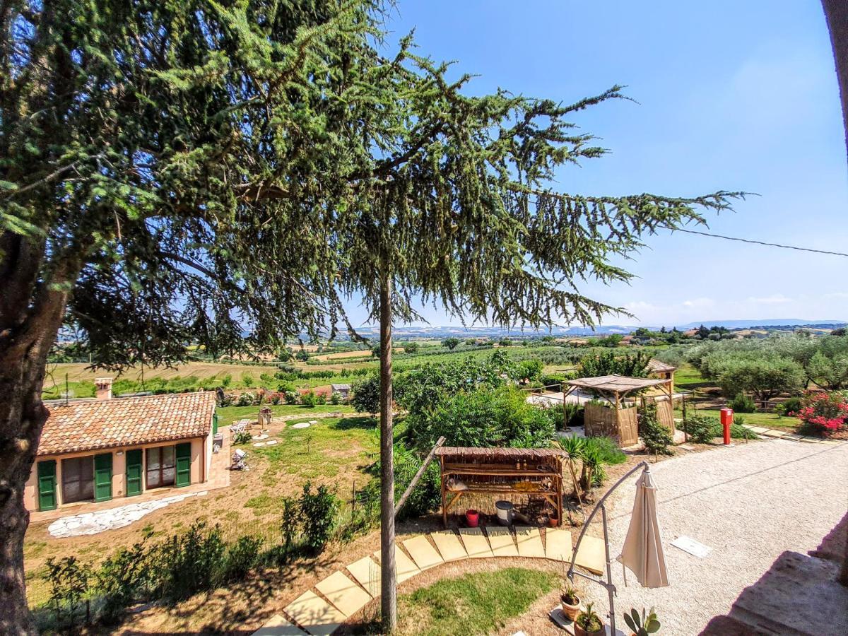 Agriturismo Rosa Antica 蒙特圣维托 外观 照片