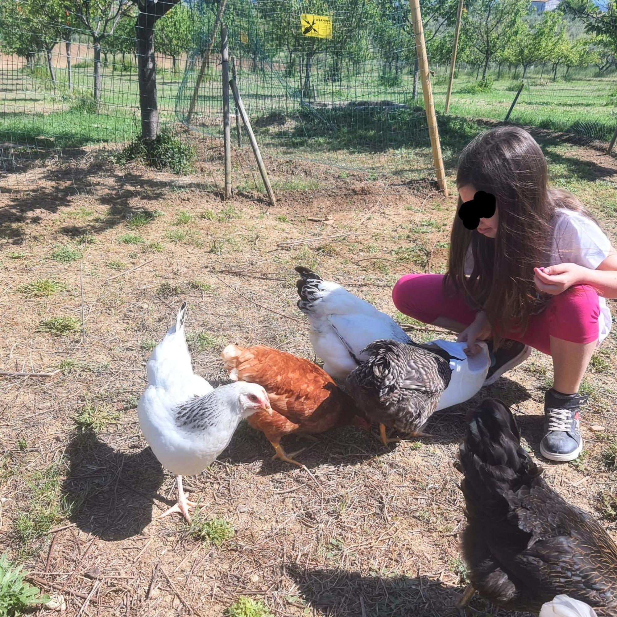 Agriturismo Rosa Antica 蒙特圣维托 外观 照片