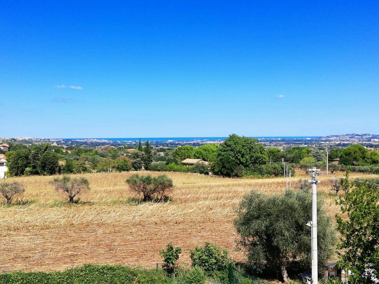 Agriturismo Rosa Antica 蒙特圣维托 外观 照片