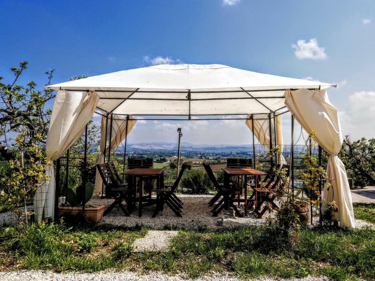 Agriturismo Rosa Antica 蒙特圣维托 外观 照片